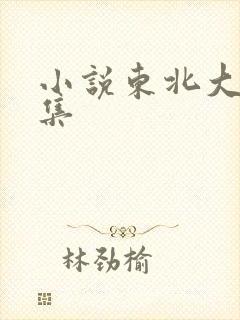 小说东北大炕全集