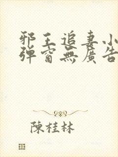 邪王追妻小说无弹窗无广告封面