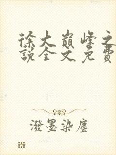 徐大巅峰之路小说全文免费阅读封面