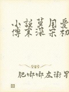 小说莫用爱囚我傅寒深宋初雪在线阅读