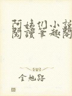 阿姨们小说全文阅读笔趣阁封面