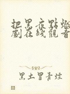 把黑夜点燃电视剧在线观看完整版高清