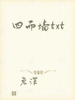 四面墙txt