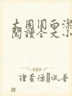 大团圆白洁免费阅读全文小说