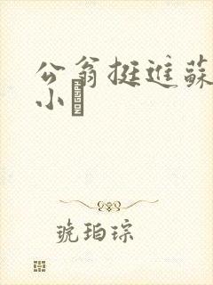 公翁挺进苏玥的小泬