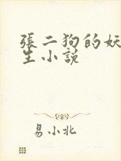 张二狗的妖孽人生小说封面