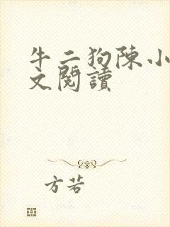 牛二狗陈小燕全文阅读封面
