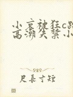 小哀被狂c躁到高潮失禁小说