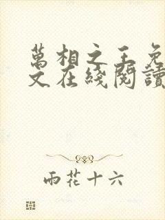 万相之王免费全文在线阅读