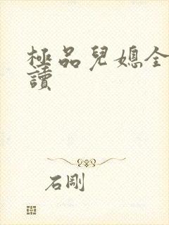 极品儿媳全文阅读封面