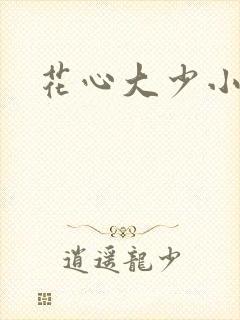 花心大少小说封面