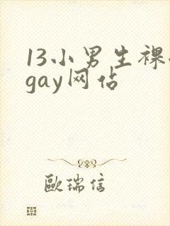 13小男生裸体gay网站封面