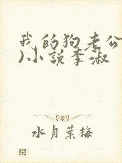 我的狗老公(七)小说李淑