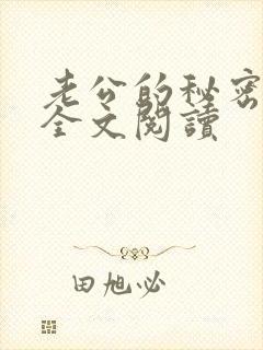 老公的秘密小说全文阅读