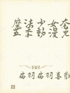 魔法少女奈叶第五季动漫免费