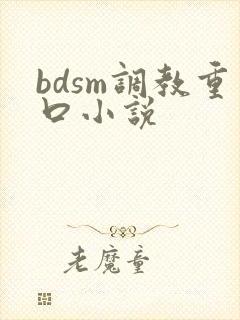 bdsm调教重口小说封面