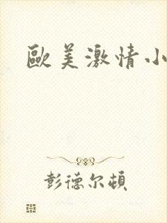 欧美激情小说区