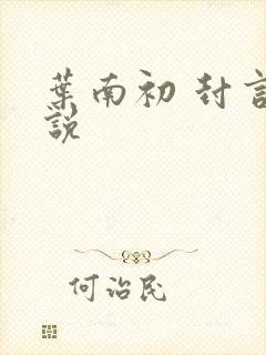 叶南初 封言小说