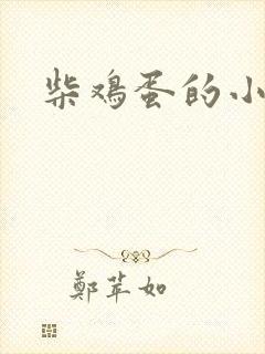 柴鸡蛋的小说封面