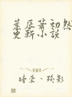 叶辰萧初然最快更新小说