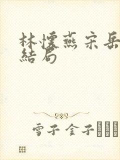 林怀燕宋岳泽大结局