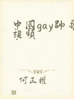 中国gay帅哥视频