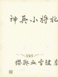 神兵小将北冥雪封面
