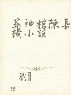 葬神棺陈长安纵横小说