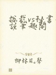 总裁vs秘书小说笔趣阁