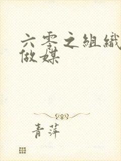 六零之组织给我做媒