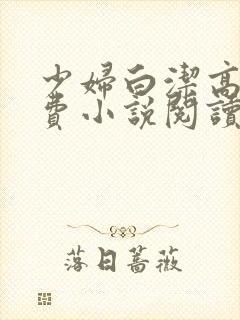 少妇白洁高义免费小说阅读