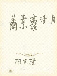 叶青高清月笔趣阁小说