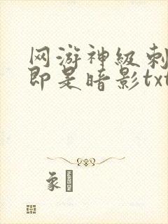 网游神级刺客我即是暗影txt免费下载