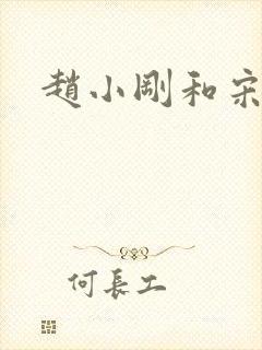 赵小刚和宋雨晴