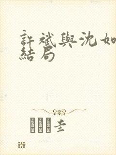 许斌与沈如玉大结局封面