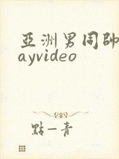 亚洲男同帅哥gayvideo