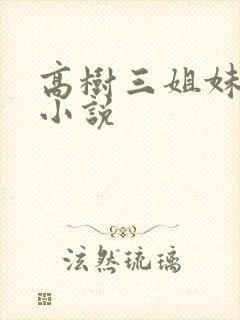 高树三姐妹有声小说