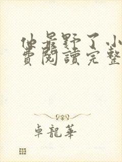 他最野了小说免费阅读完整版无弹窗