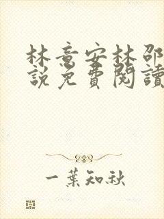 林意安林邵民小说免费阅读最新章节封面