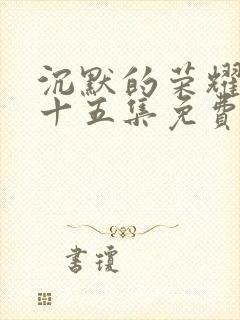 沉默的荣耀第二十五集免费观看封面