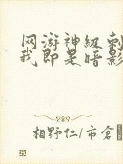 网游神级刺客,我即是暗影