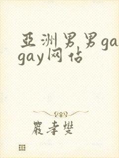 亚洲男男gaygay网站封面