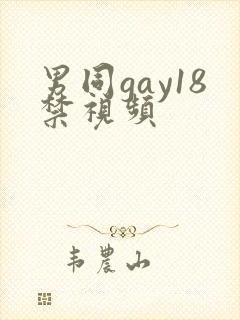 男同gay18禁视频封面