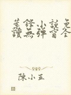 叶锋小说免费阅读无弹窗全文