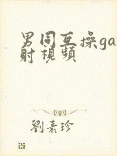 男同互操gay射视频