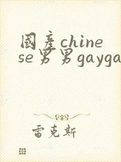 国产chinese男男gaygay网站