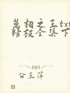 万相之王txt精校全集下载
