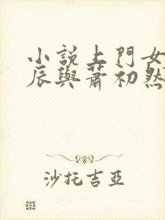 小说上门女婿叶辰与萧初然