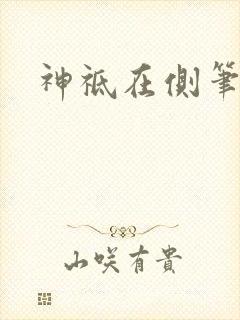 神祗在侧笔趣阁