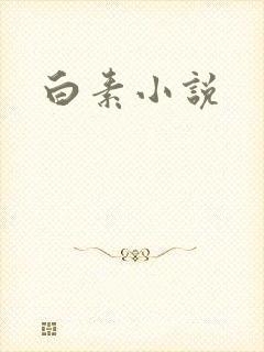 白素小说